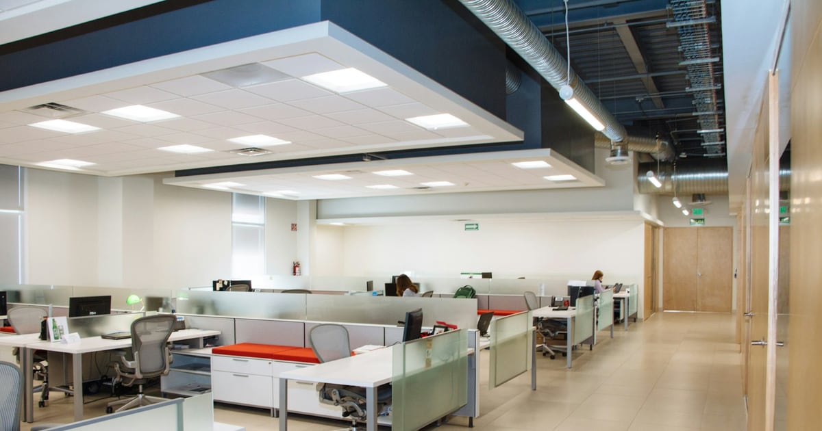A bright open-plan office with rows of desks and chairs under ceiling lights
