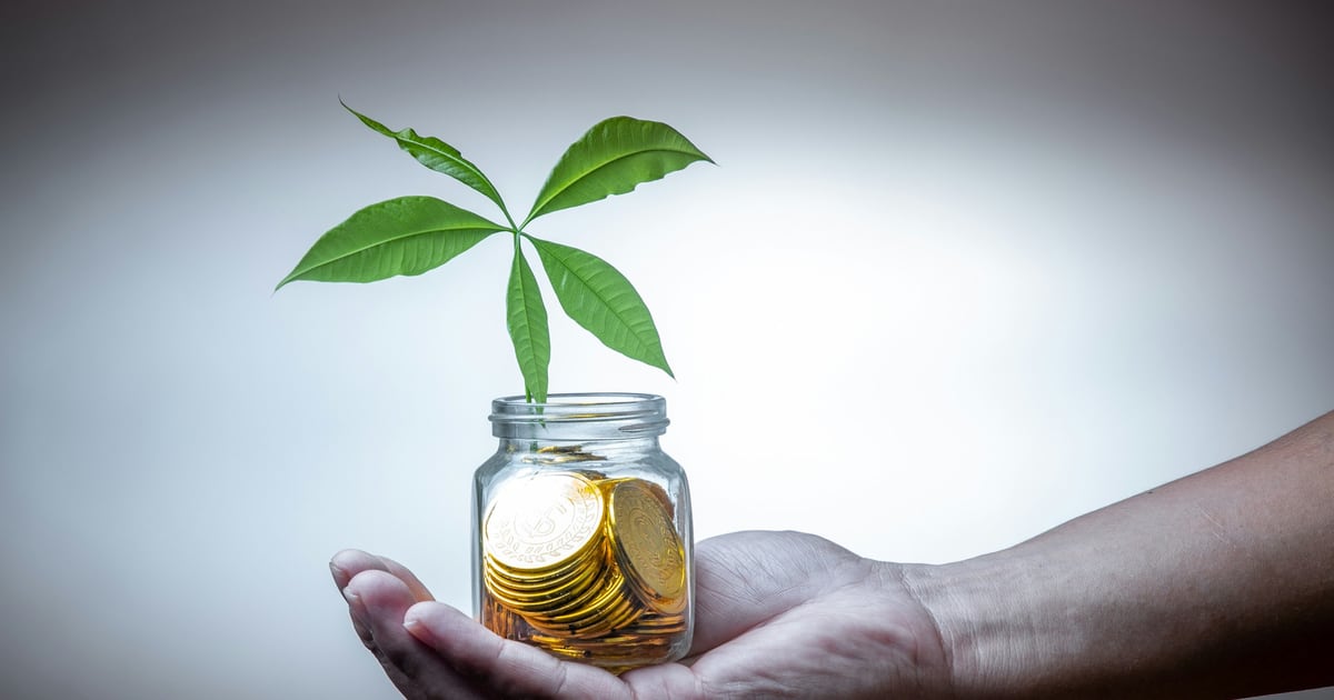 An open hand holding a small jar of gold coins with a young plant growing out of it
